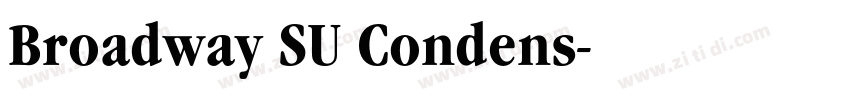 Broadway SU Condens字体转换